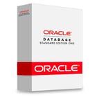 Oracle 10G/11G  (25user）标准版