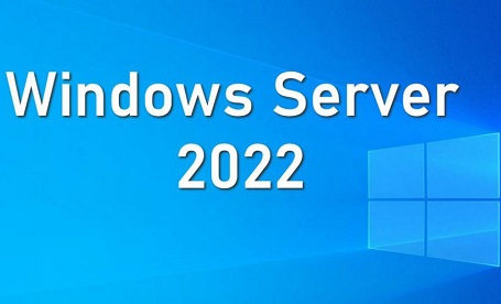 Windows Server 2022标准版