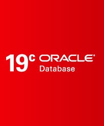 Oracle Database 19c标准版2CPU